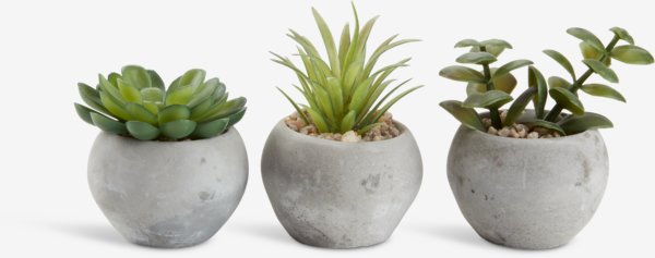 Planta artificial BROR Ø7xA9cm variado